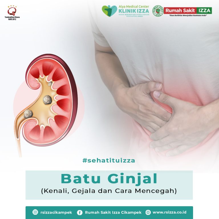 Kenali Penyakit Batu Ginjal, Gejala dan Cara Pencegahan